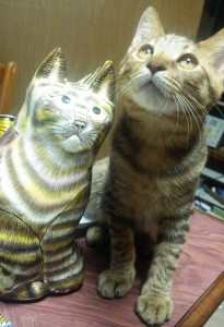 ペーパーマッシュ猫5